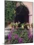 Bougainvillea and Geranium Pots on Wall in Courtyard, San Miguel De Allende, Mexico-Nancy Rotenberg-Mounted Photographic Print