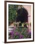 Bougainvillea and Geranium Pots on Wall in Courtyard, San Miguel De Allende, Mexico-Nancy Rotenberg-Framed Photographic Print