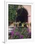 Bougainvillea and Geranium Pots on Wall in Courtyard, San Miguel De Allende, Mexico-Nancy Rotenberg-Framed Photographic Print