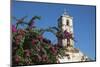 Bougainvillea and Ruins of a Church in Trinidad, Cuba-Brenda Tharp-Mounted Photographic Print