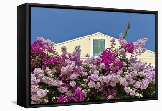 Bougainvillea and Yellow Building with Green Shutters Against Blue Sky-Eleanor-Framed Stretched Canvas