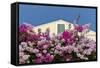 Bougainvillea and Yellow Building with Green Shutters Against Blue Sky-Eleanor-Framed Stretched Canvas