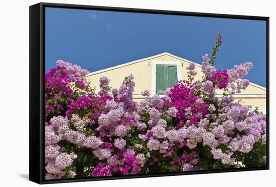 Bougainvillea and Yellow Building with Green Shutters Against Blue Sky-Eleanor-Framed Stretched Canvas
