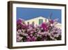 Bougainvillea and Yellow Building with Green Shutters Against Blue Sky-Eleanor-Framed Photographic Print