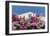 Bougainvillea and Yellow Building with Green Shutters Against Blue Sky-Eleanor-Framed Photographic Print