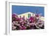 Bougainvillea and Yellow Building with Green Shutters Against Blue Sky-Eleanor-Framed Photographic Print