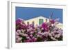 Bougainvillea and Yellow Building with Green Shutters Against Blue Sky-Eleanor-Framed Photographic Print