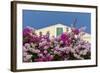 Bougainvillea and Yellow Building with Green Shutters Against Blue Sky-Eleanor-Framed Photographic Print