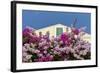 Bougainvillea and Yellow Building with Green Shutters Against Blue Sky-Eleanor-Framed Photographic Print