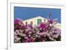 Bougainvillea and Yellow Building with Green Shutters Against Blue Sky-Eleanor-Framed Photographic Print