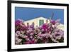 Bougainvillea and Yellow Building with Green Shutters Against Blue Sky-Eleanor-Framed Photographic Print