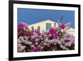 Bougainvillea and Yellow Building with Green Shutters Against Blue Sky-Eleanor-Framed Photographic Print