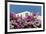 Bougainvillea and Yellow Building with Green Shutters Against Blue Sky-Eleanor-Framed Photographic Print