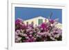 Bougainvillea and Yellow Building with Green Shutters Against Blue Sky-Eleanor-Framed Photographic Print