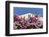 Bougainvillea and Yellow Building with Green Shutters Against Blue Sky-Eleanor-Framed Photographic Print