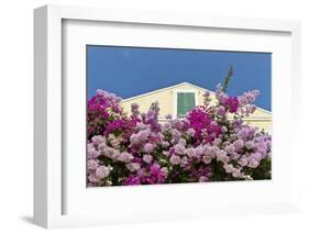 Bougainvillea and Yellow Building with Green Shutters Against Blue Sky-Eleanor-Framed Photographic Print