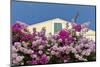 Bougainvillea and Yellow Building with Green Shutters Against Blue Sky-Eleanor-Mounted Photographic Print