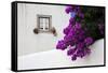 Bougainvillea Blooming in the Town of Obidos, Portugal-Julie Eggers-Framed Stretched Canvas