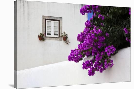 Bougainvillea Blooming in the Town of Obidos, Portugal-Julie Eggers-Stretched Canvas