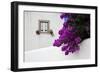 Bougainvillea Blooming in the Town of Obidos, Portugal-Julie Eggers-Framed Photographic Print