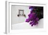 Bougainvillea Blooming in the Town of Obidos, Portugal-Julie Eggers-Framed Photographic Print