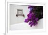 Bougainvillea Blooming in the Town of Obidos, Portugal-Julie Eggers-Framed Photographic Print