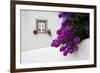 Bougainvillea Blooming in the Town of Obidos, Portugal-Julie Eggers-Framed Photographic Print