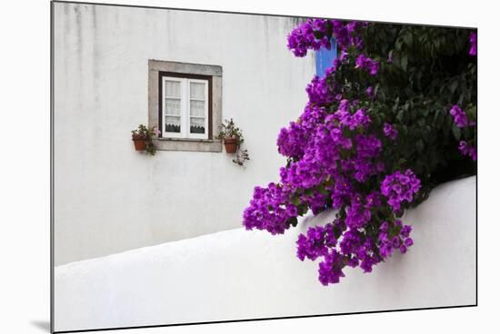 Bougainvillea Blooming in the Town of Obidos, Portugal-Julie Eggers-Mounted Photographic Print