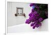 Bougainvillea Blooming in the Town of Obidos, Portugal-Julie Eggers-Framed Photographic Print