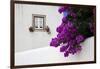 Bougainvillea Blooming in the Town of Obidos, Portugal-Julie Eggers-Framed Photographic Print