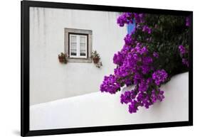 Bougainvillea Blooming in the Town of Obidos, Portugal-Julie Eggers-Framed Photographic Print