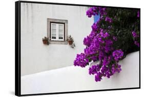 Bougainvillea Blooming in the Town of Obidos, Portugal-Julie Eggers-Framed Stretched Canvas