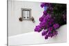Bougainvillea Blooming in the Town of Obidos, Portugal-Julie Eggers-Stretched Canvas