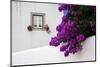 Bougainvillea Blooming in the Town of Obidos, Portugal-Julie Eggers-Mounted Photographic Print