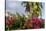 Bougainvillea Flora, Bavaro, Higuey, Punta Cana, Dominican Republic-Lisa S. Engelbrecht-Stretched Canvas