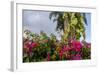 Bougainvillea Flora, Bavaro, Higuey, Punta Cana, Dominican Republic-Lisa S. Engelbrecht-Framed Photographic Print