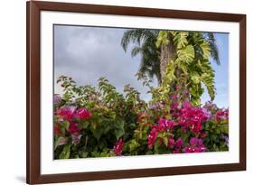 Bougainvillea Flora, Bavaro, Higuey, Punta Cana, Dominican Republic-Lisa S. Engelbrecht-Framed Photographic Print