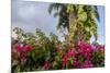 Bougainvillea Flora, Bavaro, Higuey, Punta Cana, Dominican Republic-Lisa S. Engelbrecht-Mounted Photographic Print