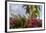 Bougainvillea Flora, Bavaro, Higuey, Punta Cana, Dominican Republic-Lisa S. Engelbrecht-Framed Photographic Print