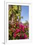 Bougainvillea Flora, Bavaro, Higuey, Punta Cana, Dominican Republic-Lisa S. Engelbrecht-Framed Premium Photographic Print