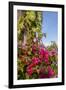 Bougainvillea Flora, Bavaro, Higuey, Punta Cana, Dominican Republic-Lisa S. Engelbrecht-Framed Premium Photographic Print