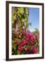 Bougainvillea Flora, Bavaro, Higuey, Punta Cana, Dominican Republic-Lisa S. Engelbrecht-Framed Photographic Print