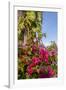 Bougainvillea Flora, Bavaro, Higuey, Punta Cana, Dominican Republic-Lisa S. Engelbrecht-Framed Photographic Print