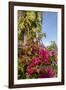 Bougainvillea Flora, Bavaro, Higuey, Punta Cana, Dominican Republic-Lisa S. Engelbrecht-Framed Photographic Print