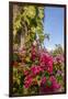 Bougainvillea Flora, Bavaro, Higuey, Punta Cana, Dominican Republic-Lisa S. Engelbrecht-Framed Photographic Print