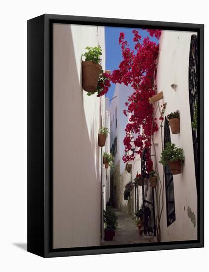 Bougainvillea in a Narrow Whitewashed Street in Upper Village, Mojacar, Almeria, Andalucia, Spain-Tomlinson Ruth-Framed Stretched Canvas