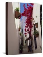 Bougainvillea in a Narrow Whitewashed Street in Upper Village, Mojacar, Almeria, Andalucia, Spain-Tomlinson Ruth-Stretched Canvas