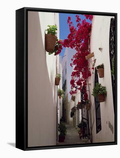 Bougainvillea in a Narrow Whitewashed Street in Upper Village, Mojacar, Almeria, Andalucia, Spain-Tomlinson Ruth-Framed Stretched Canvas
