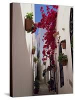 Bougainvillea in a Narrow Whitewashed Street in Upper Village, Mojacar, Almeria, Andalucia, Spain-Tomlinson Ruth-Stretched Canvas