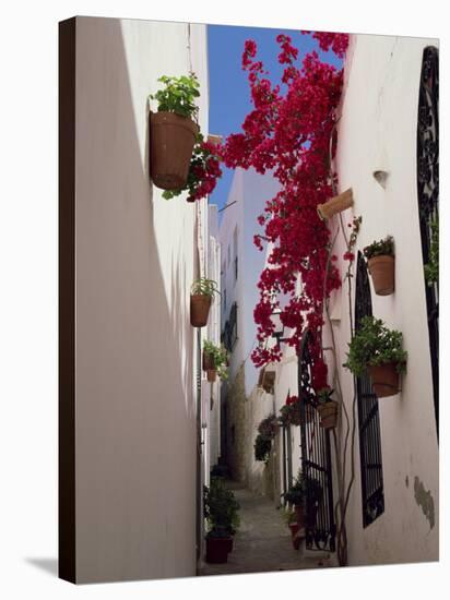 Bougainvillea in a Narrow Whitewashed Street in Upper Village, Mojacar, Almeria, Andalucia, Spain-Tomlinson Ruth-Stretched Canvas
